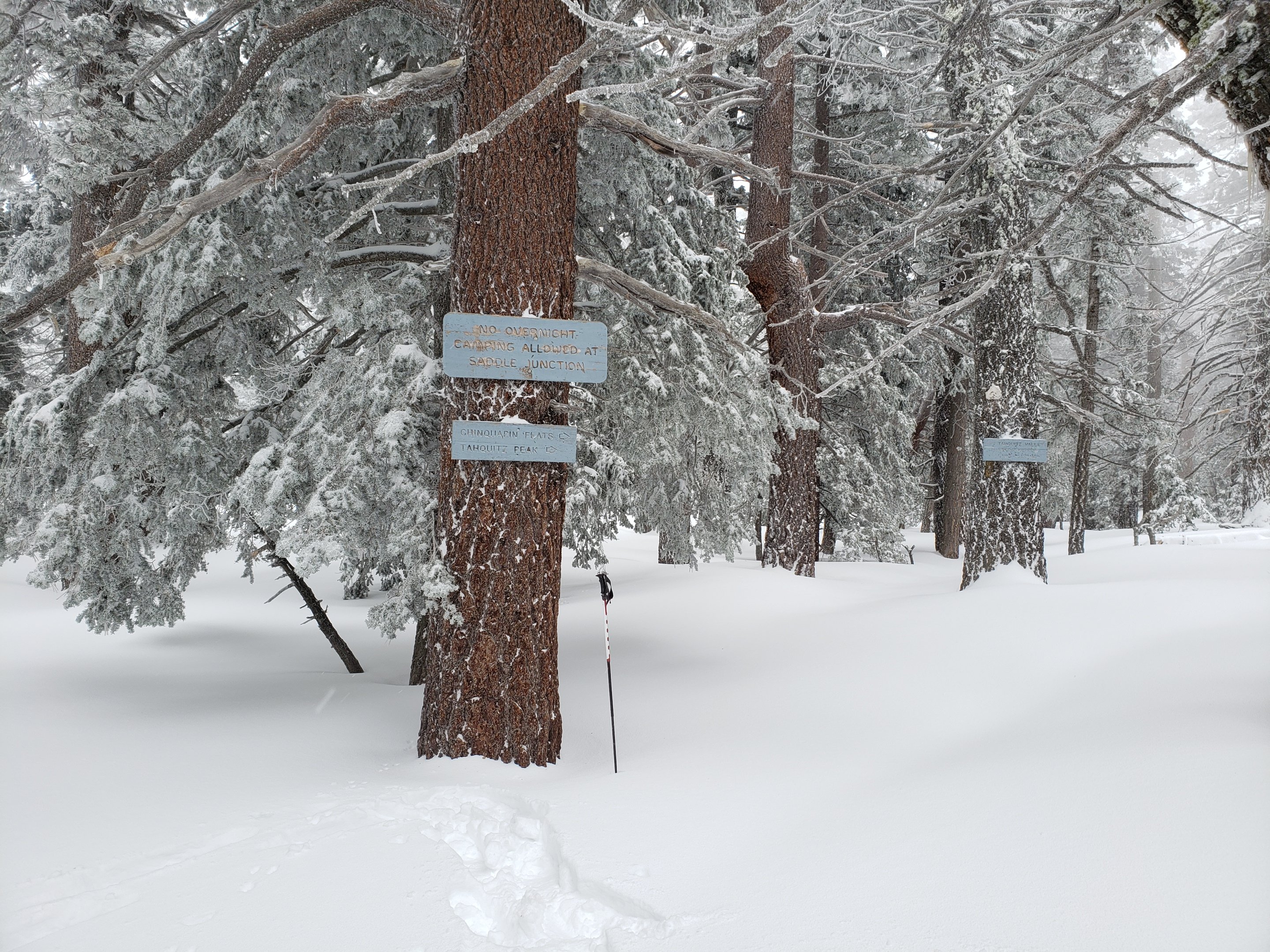 Partial snow update 21st February 2019 – San Jacinto Trail Report