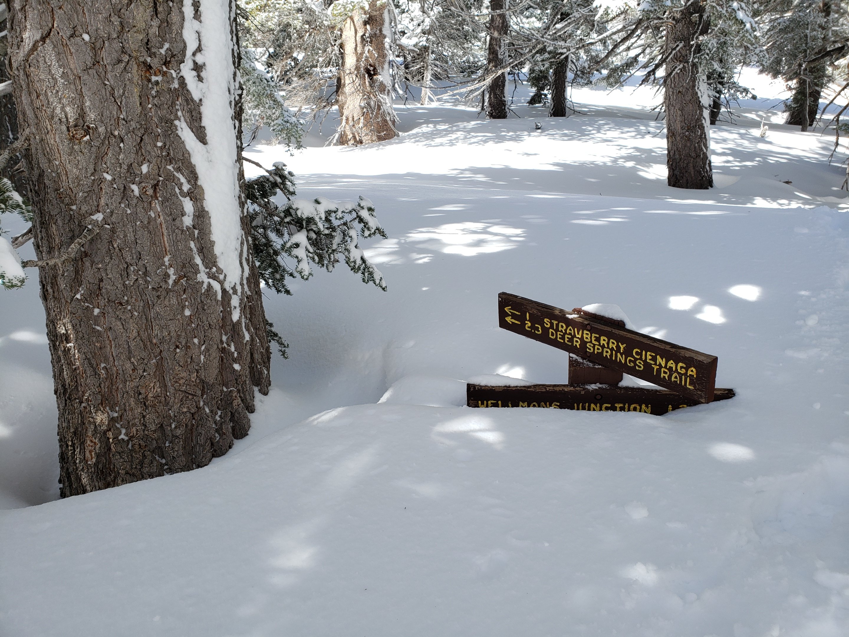 Snow and trail update 18th March 2019 – San Jacinto Trail Report