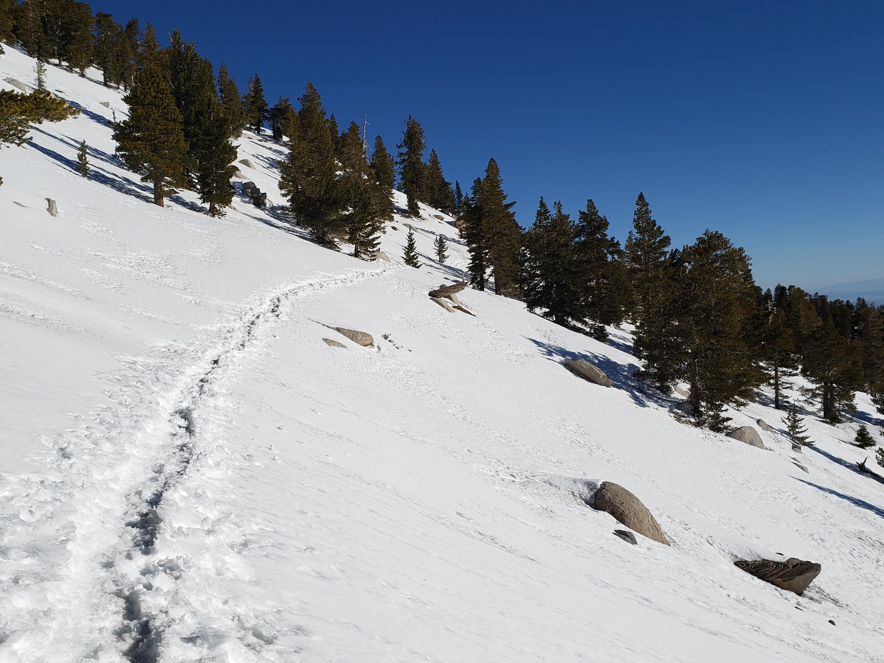 Snow and trail update 18th March 2019 – San Jacinto Trail Report