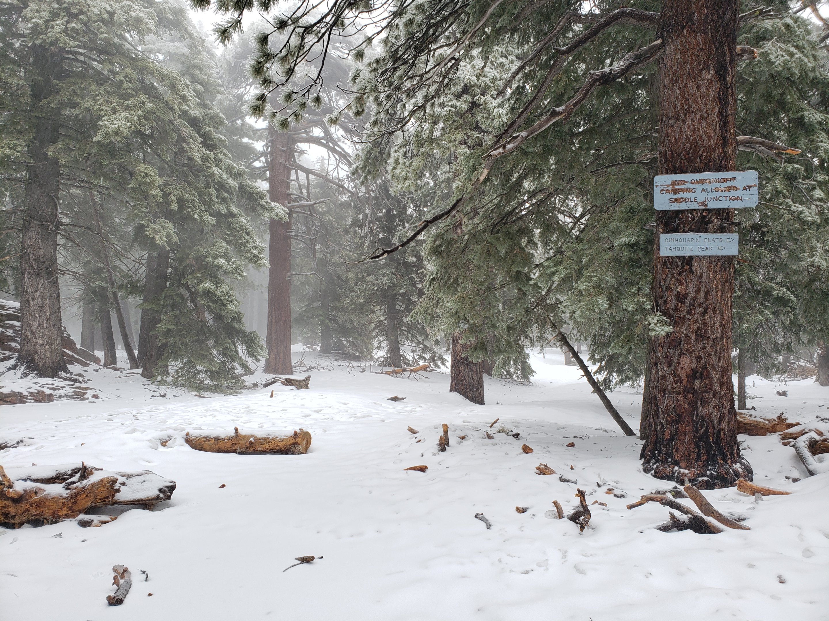 Snow storm update 10th April 2020 – San Jacinto Trail Report