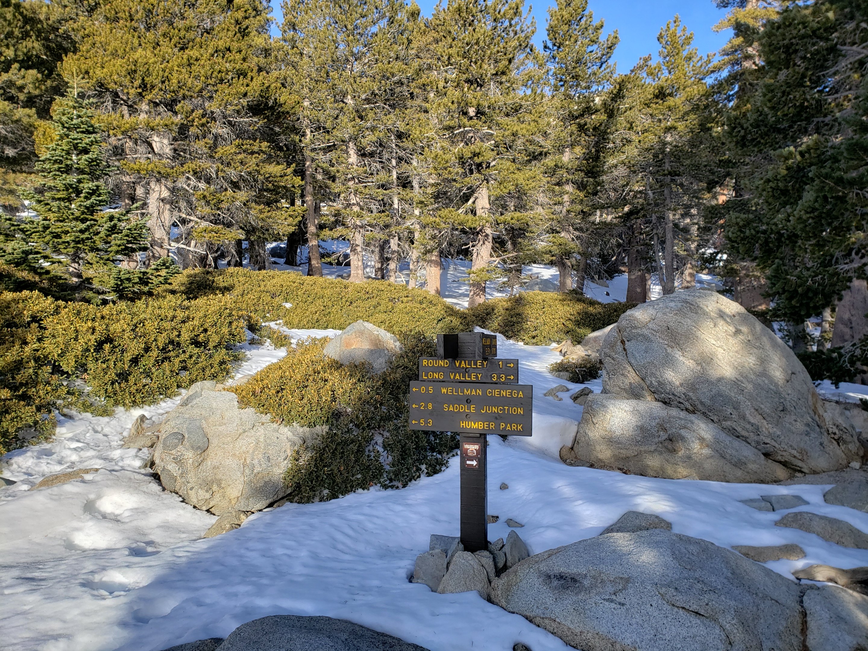 Trail and weather update 12th January 2021 – San Jacinto Trail Report