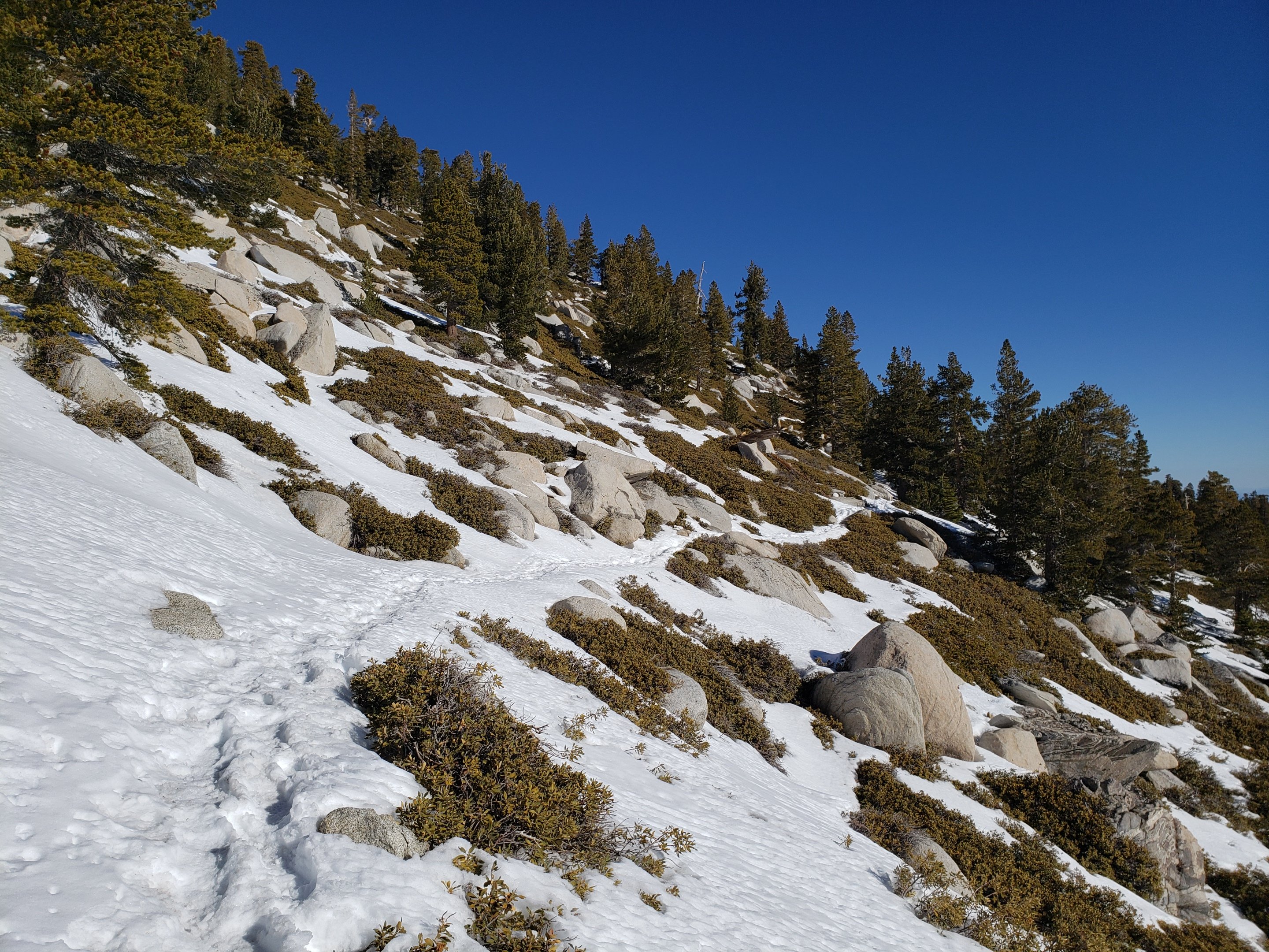 Snow and trail update 24th February 2021 – San Jacinto Trail Report