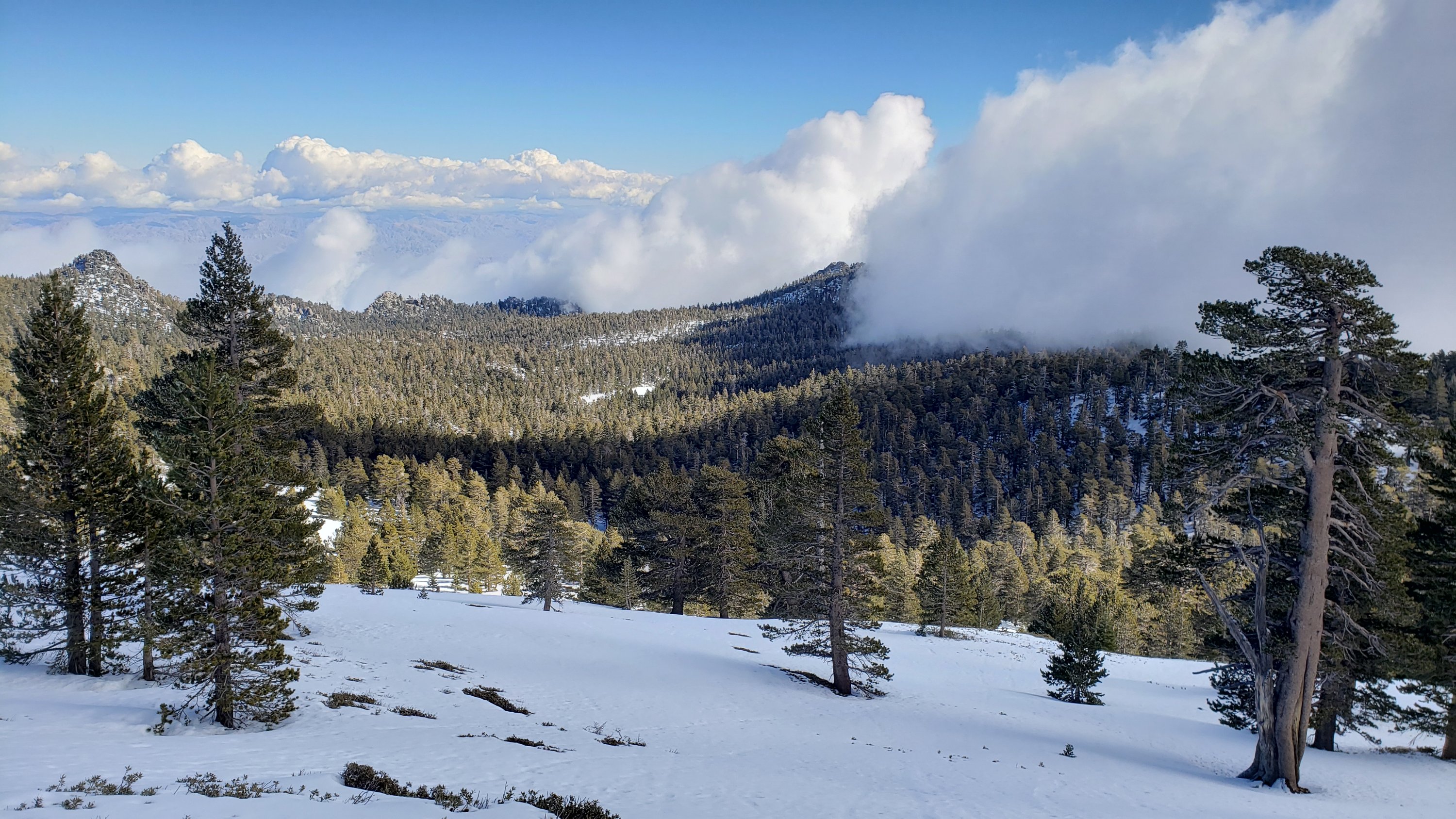 Snow and trail update 19th January 2022 – San Jacinto Trail Report