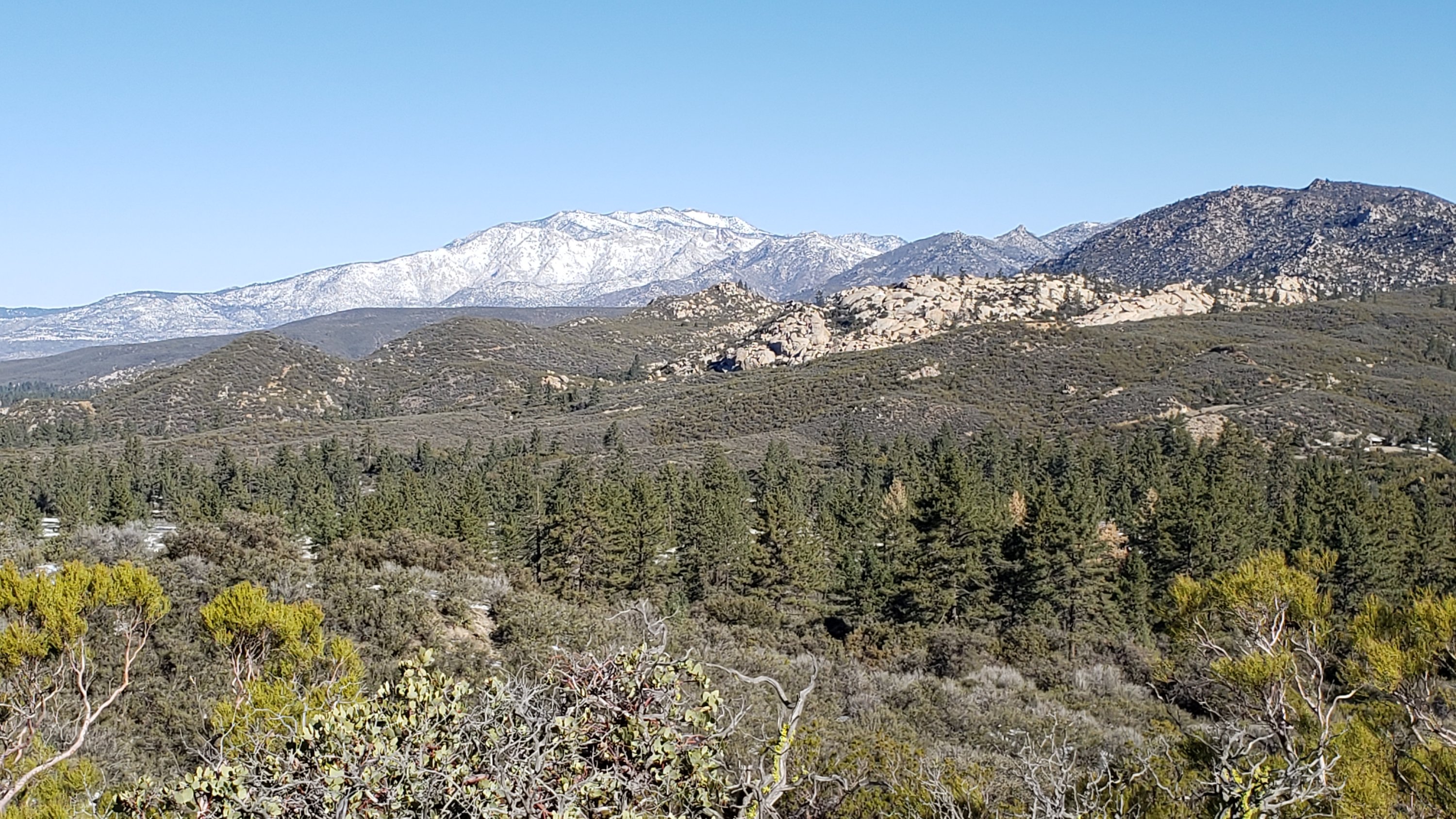 Snow, trail and weather update 1st March 2022 – San Jacinto Trail Report