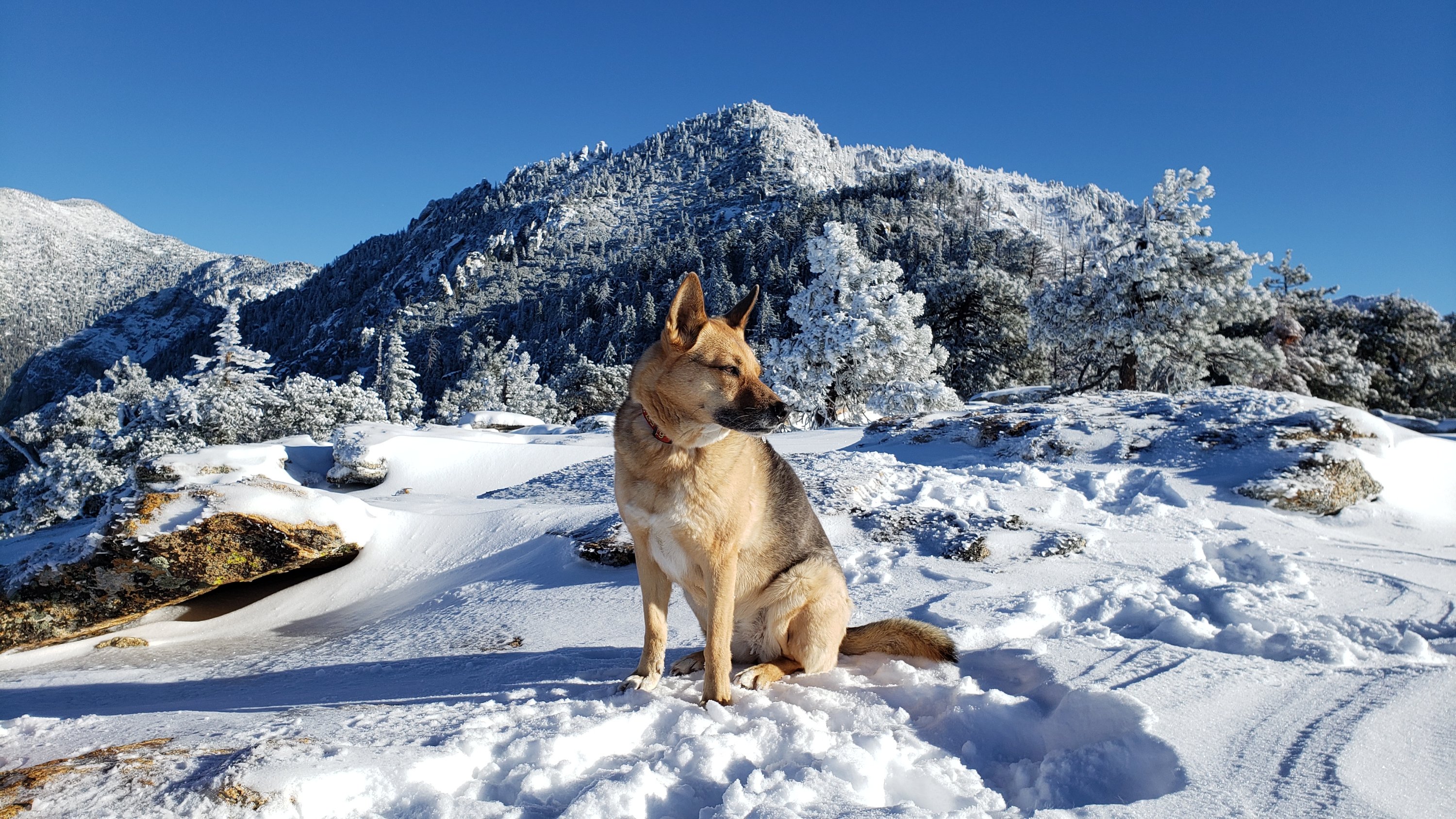 Snow and trail update 21st December 2022 – San Jacinto Trail Report