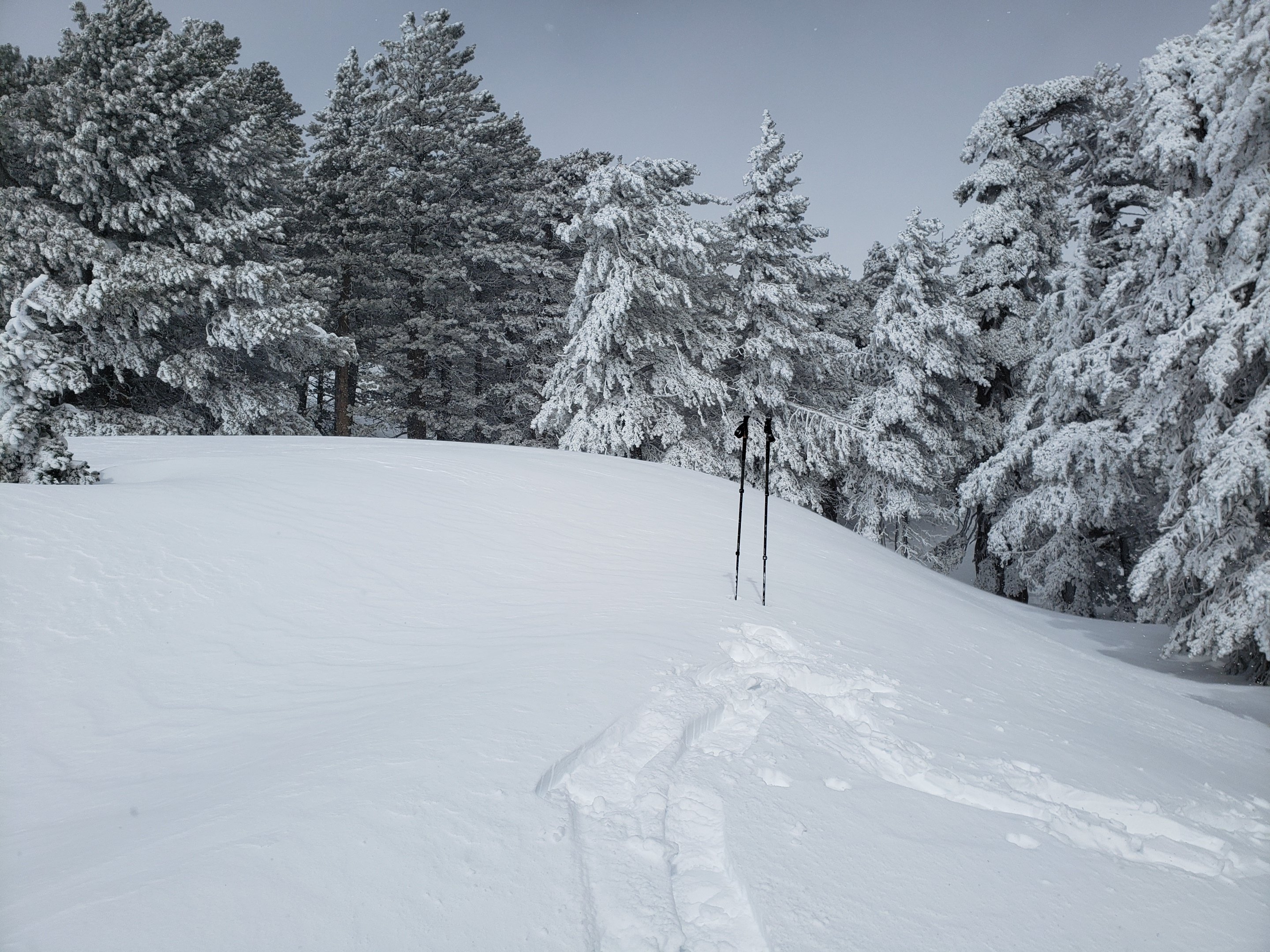 Major snow storm update 24th March 2023 – San Jacinto Trail Report