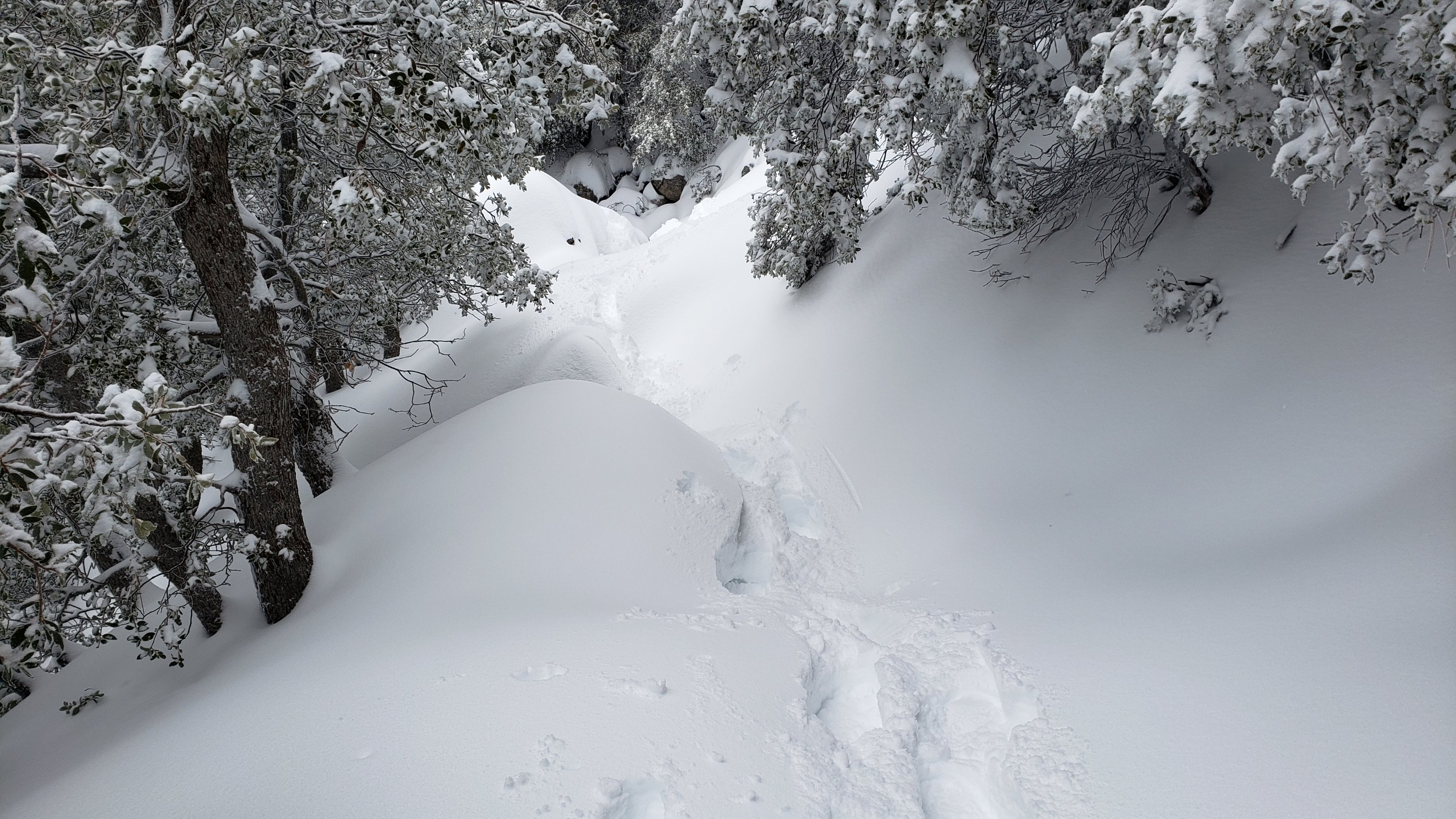 Major snow storm update 24th March 2023 – San Jacinto Trail Report