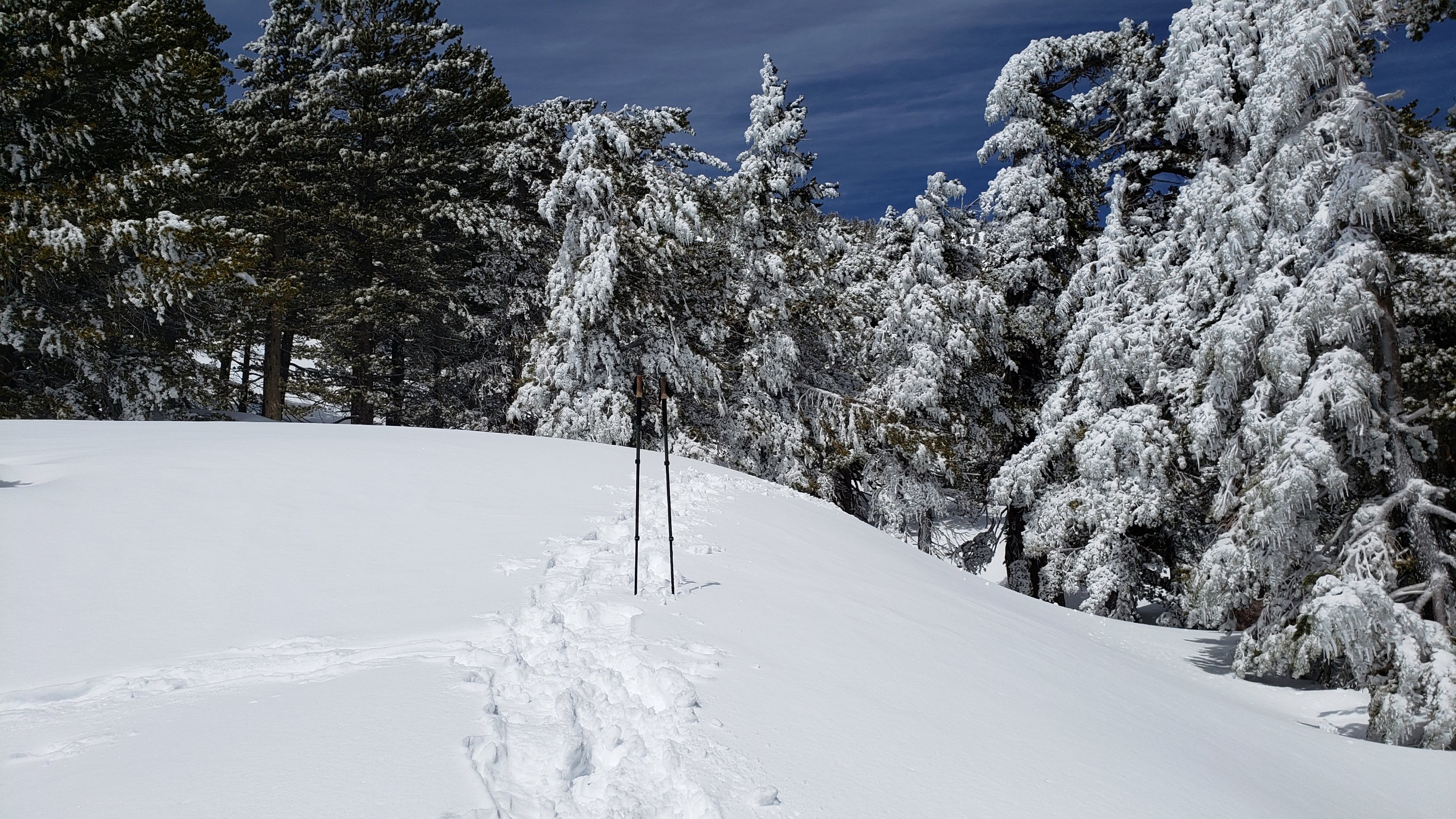 Snow storm update 2nd April 2023 – San Jacinto Trail Report