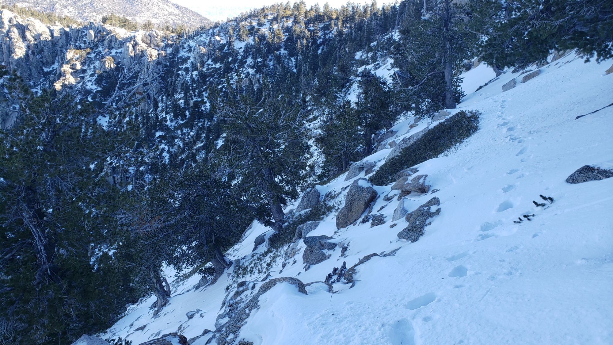 Minor snow storm update 9th January 2024 – San Jacinto Trail Report