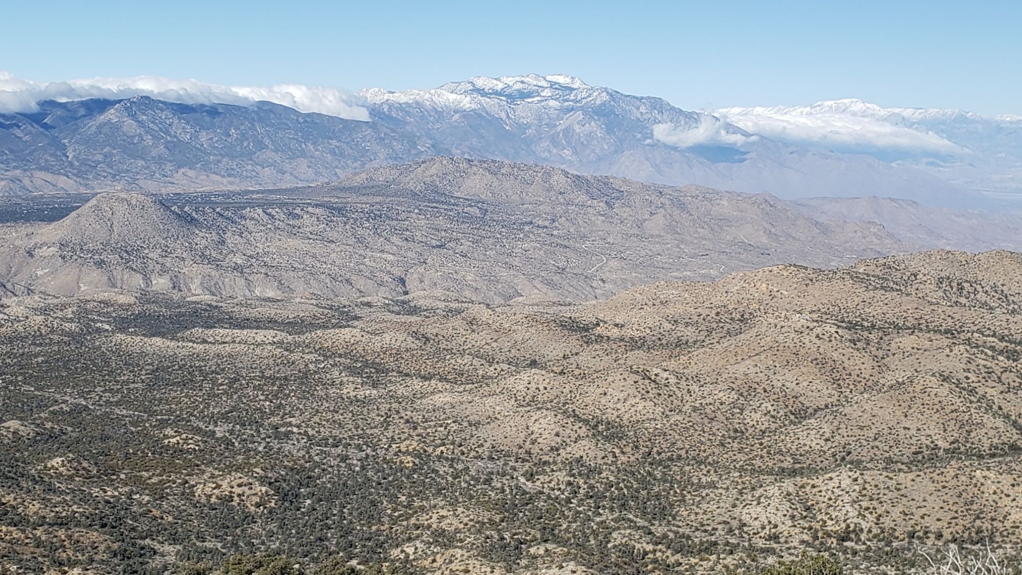 Weather and snow update 29th January 2024 – San Jacinto Trail Report