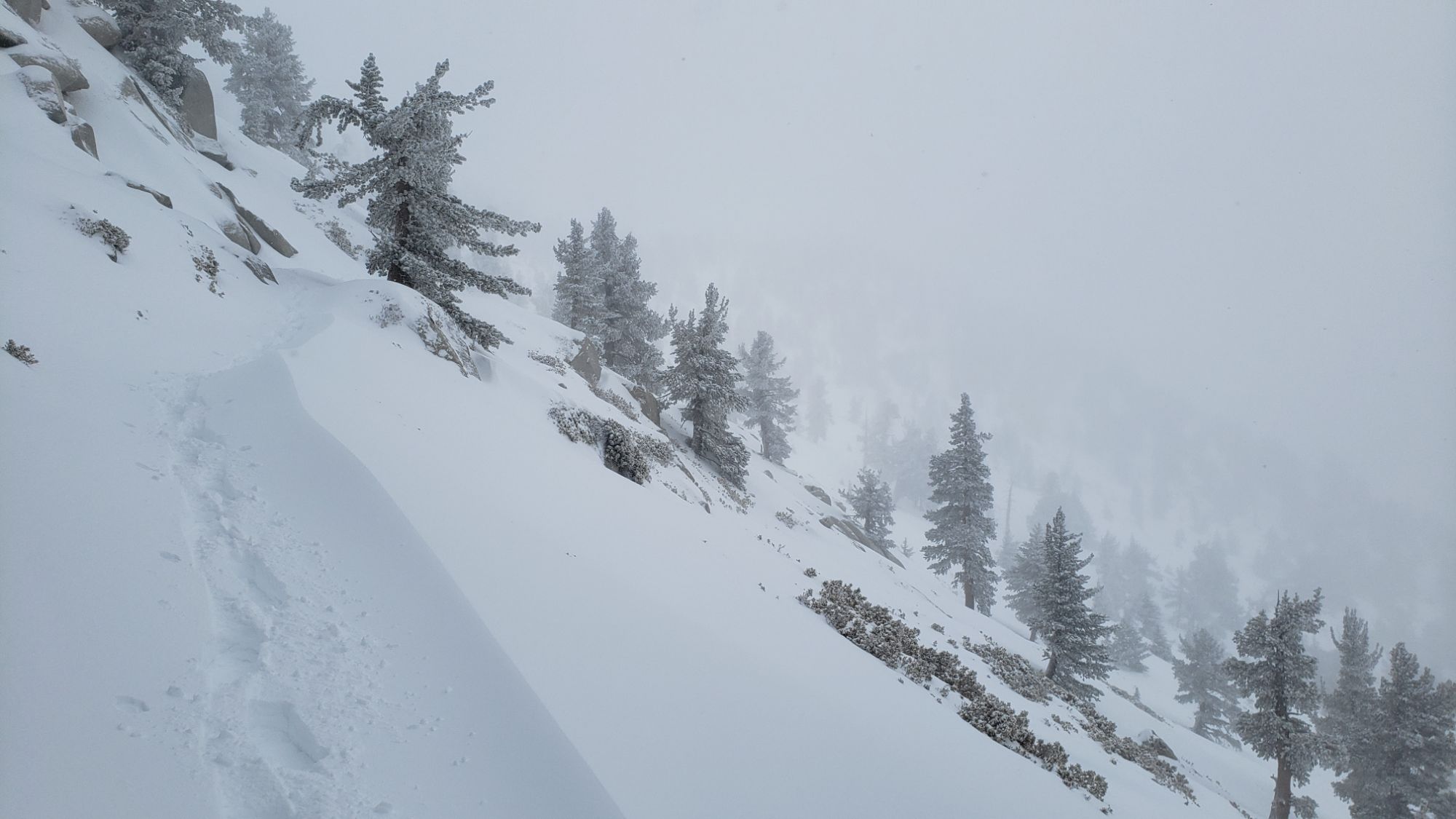 Snow storm update 2nd February 2024 – San Jacinto Trail Report