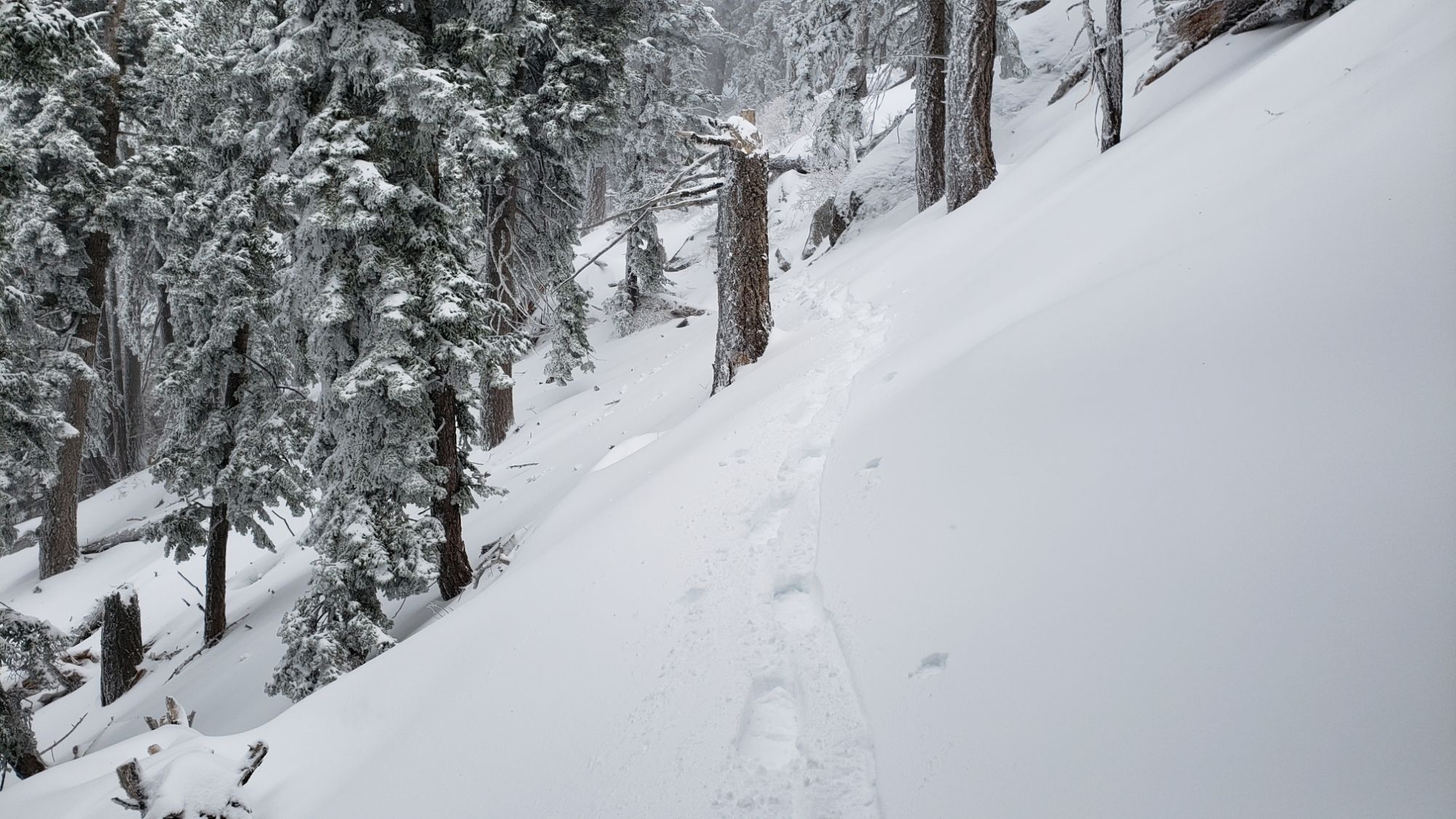 Snow storm update 2nd February 2024 – San Jacinto Trail Report