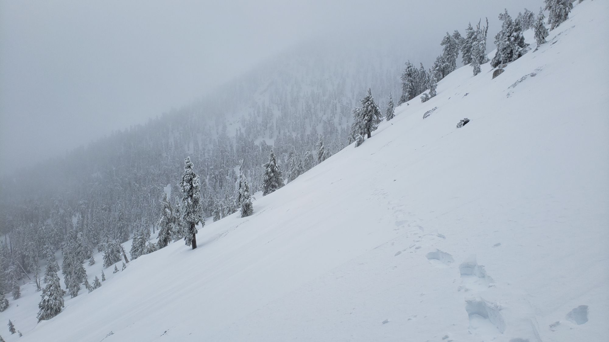Storm updates 5th-8th February 2024 – San Jacinto Trail Report