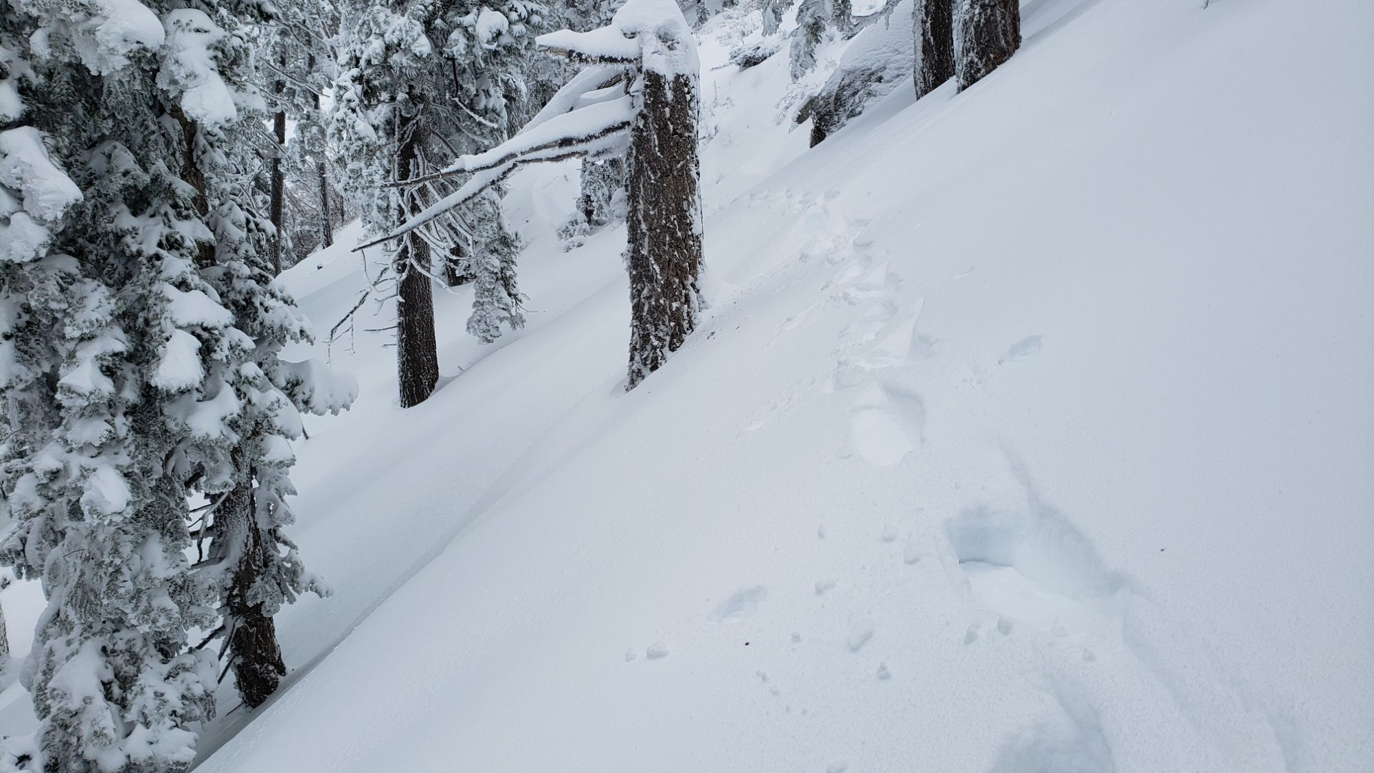 Major snow storm update 8th February 2024 – San Jacinto Trail Report