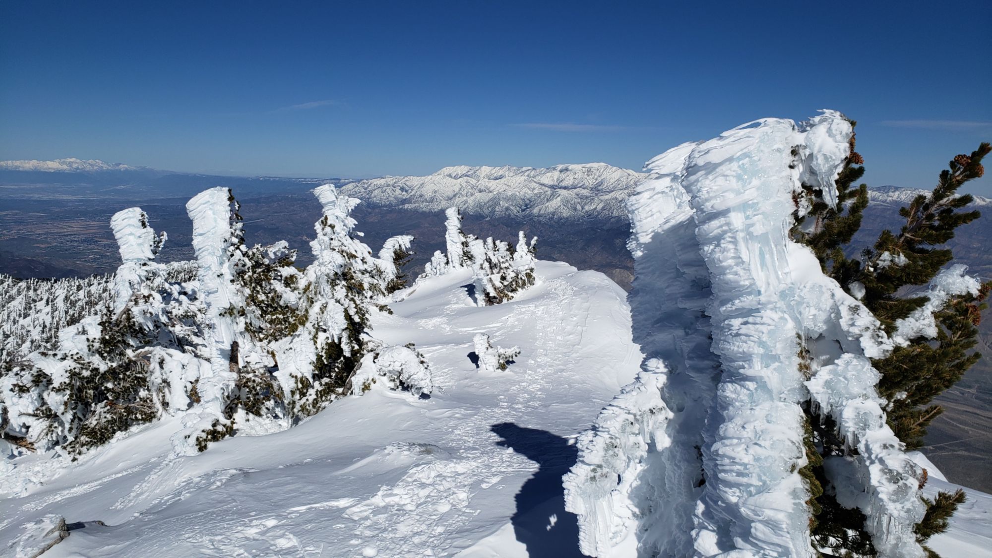 Snow update 15th February 2024 – San Jacinto Trail Report