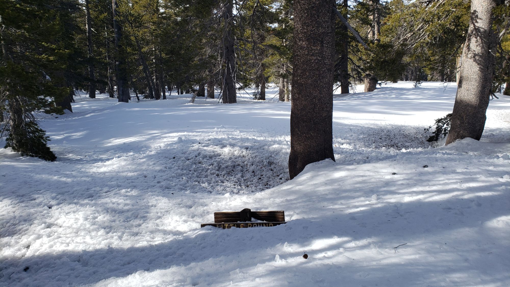 Snow and trail update 12th March 2024 – San Jacinto Trail Report