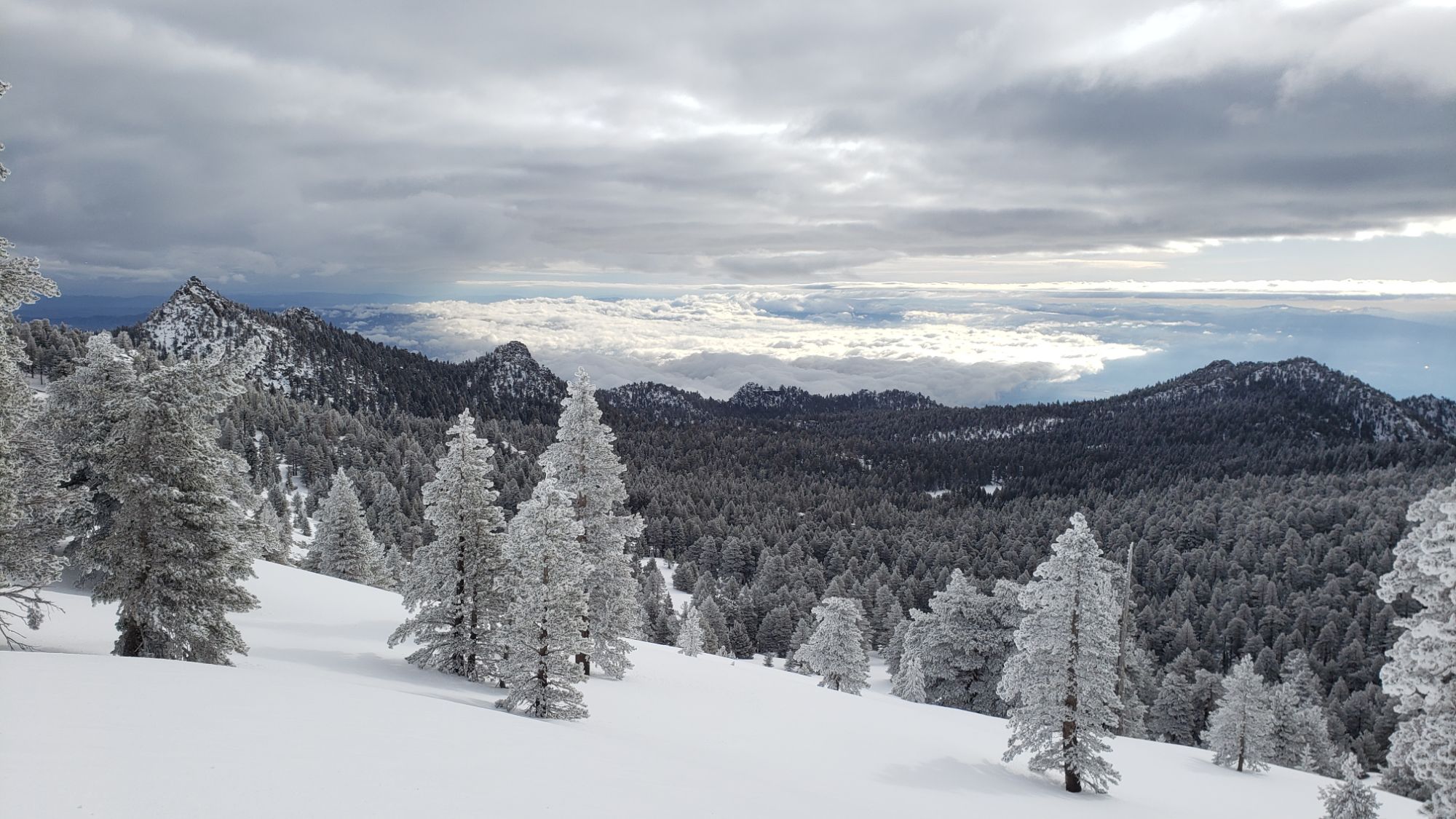 Snow and trail update 12th March 2024 – San Jacinto Trail Report