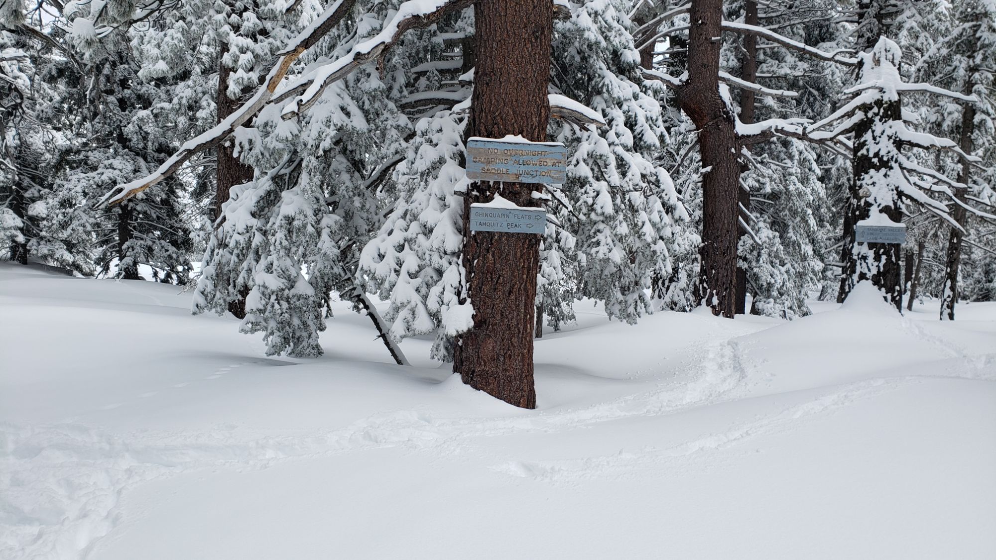 Snow storm update 2nd April 2024 – San Jacinto Trail Report
