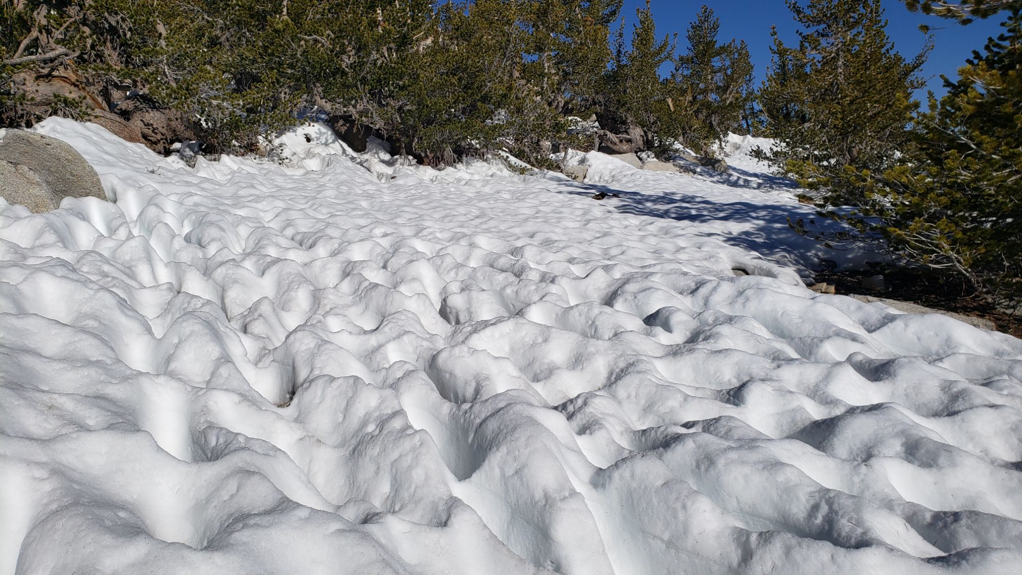 Snow and trail update 1st June 2024 – San Jacinto Trail Report