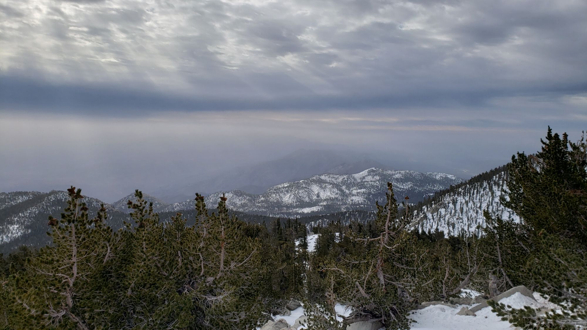 Trail and weather update 26th February 2025 – San Jacinto Trail Report