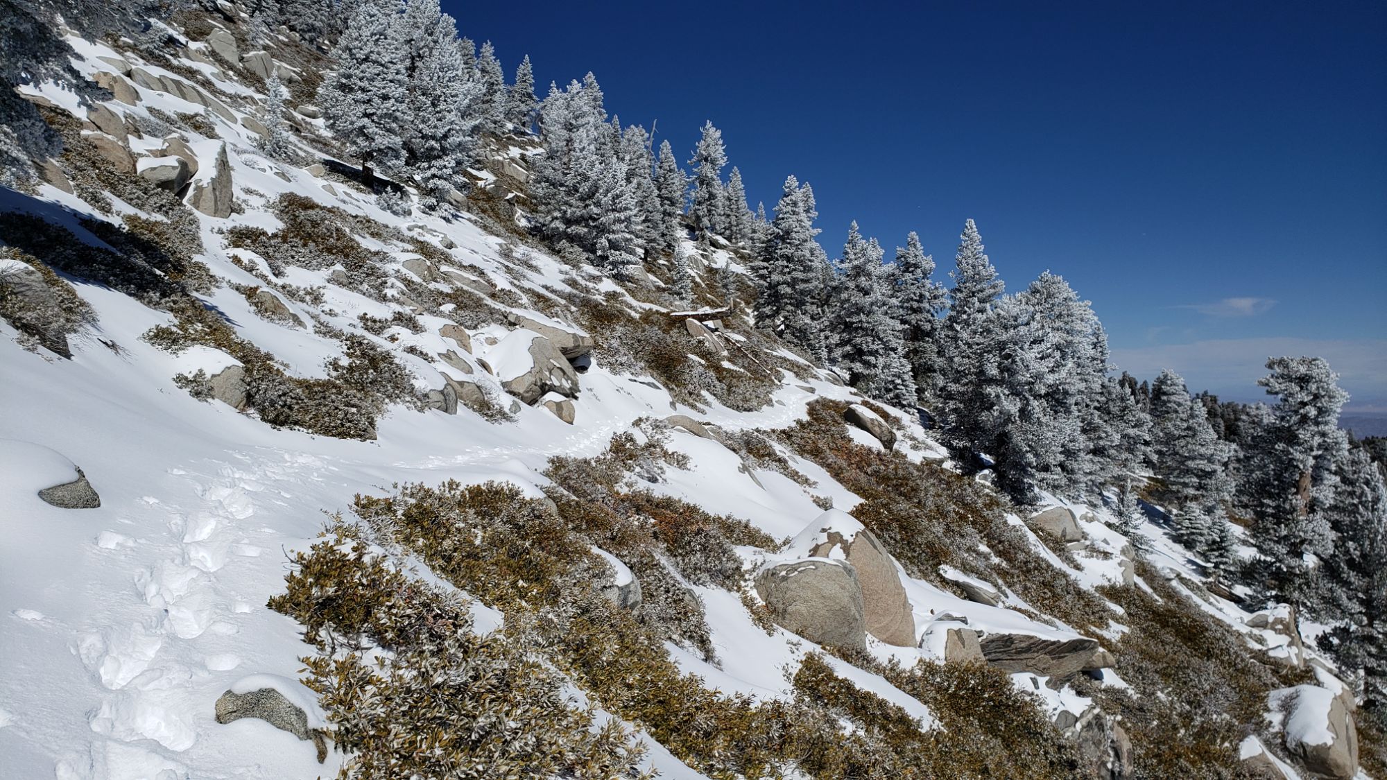 Minor snow storm 3rd March 2025 – San Jacinto Trail Report
