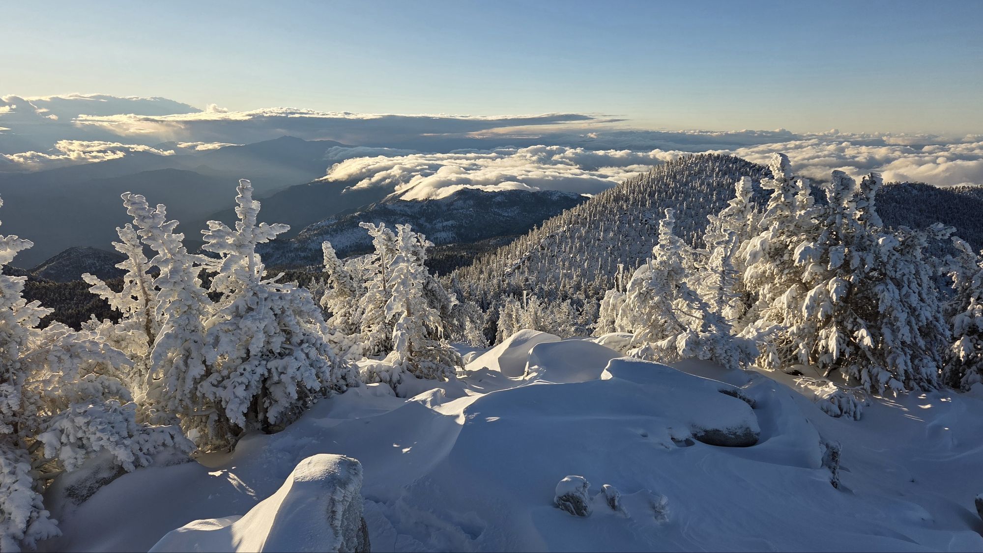 2025 – San Jacinto Trail Report