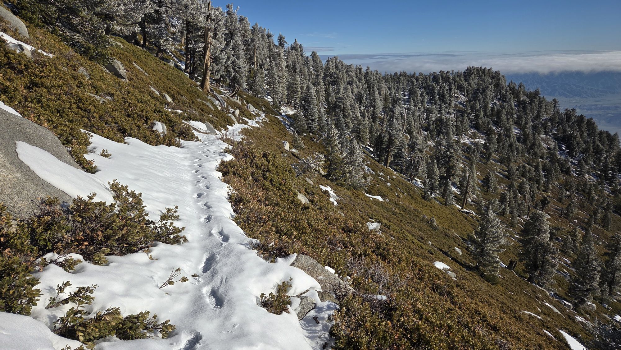 Weather and trail update 21st January 2026 – San Jacinto Trail Report