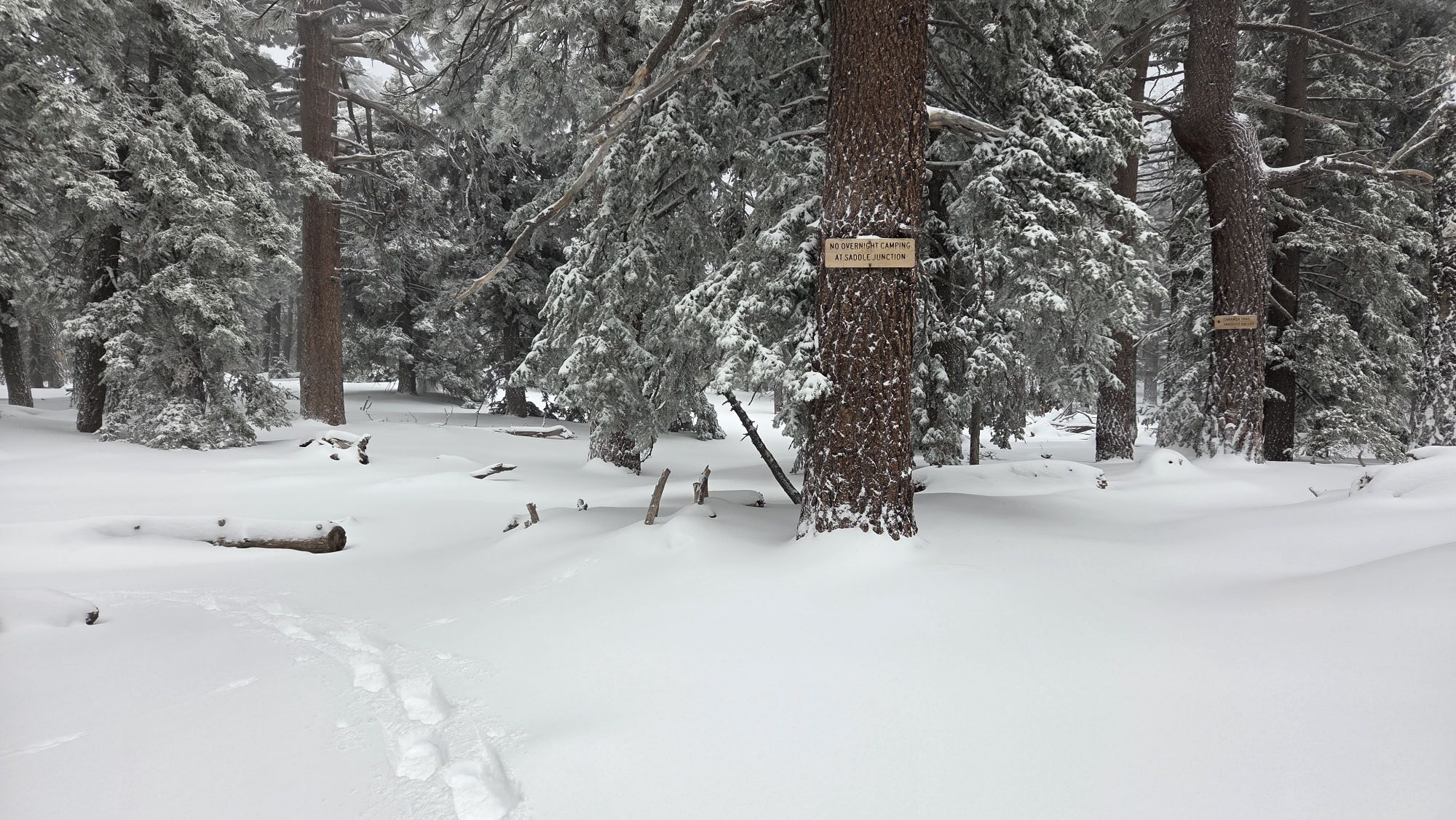 Snow storm updates 19th February 2026 – San Jacinto Trail Report