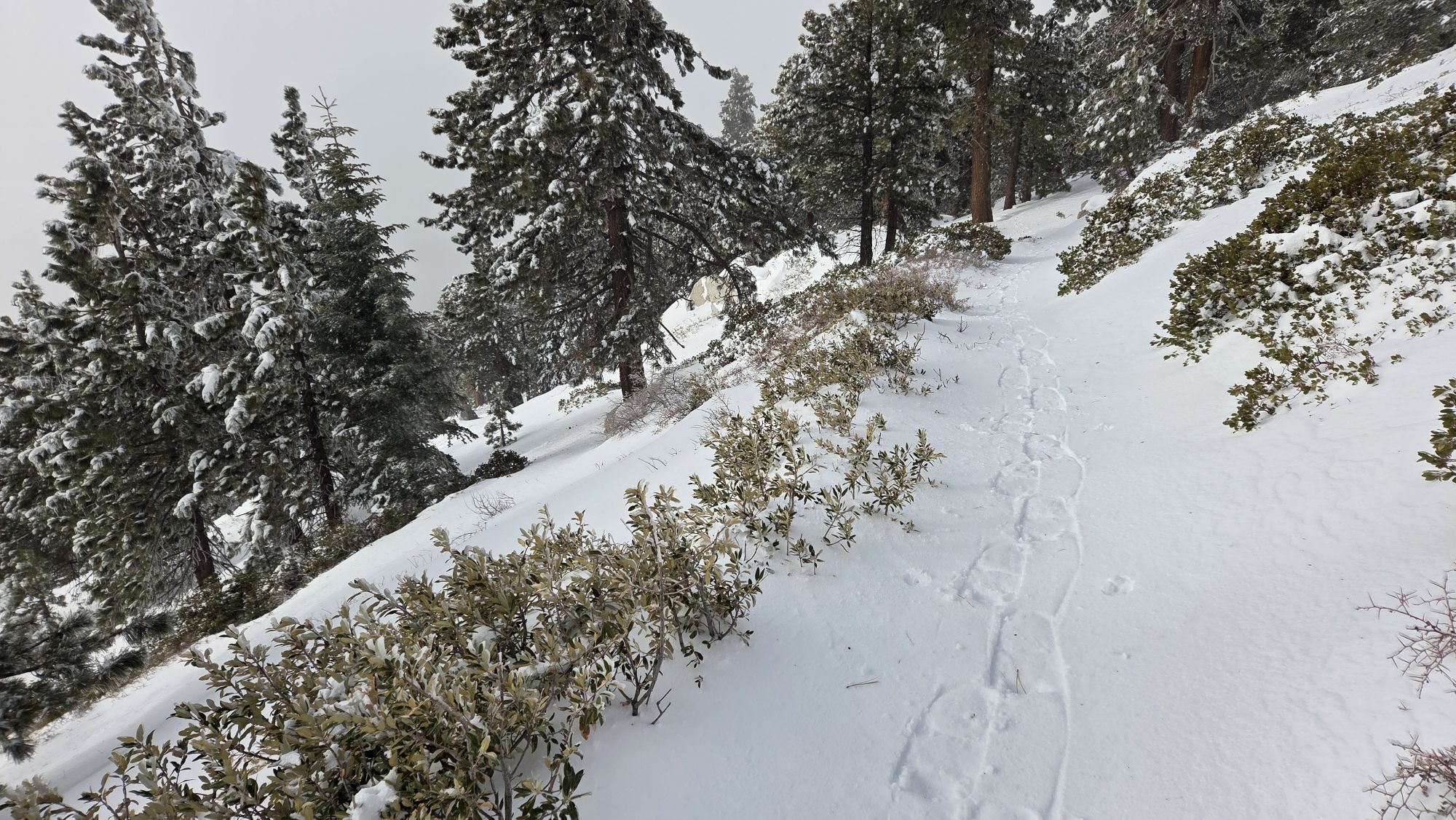 Snow storm updates 19th February 2026 – San Jacinto Trail Report