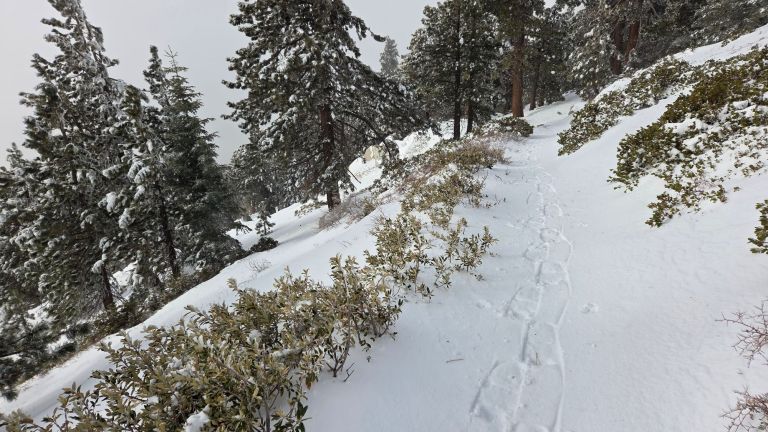 Snow storm updates 19th February 2026 – San Jacinto Trail Report