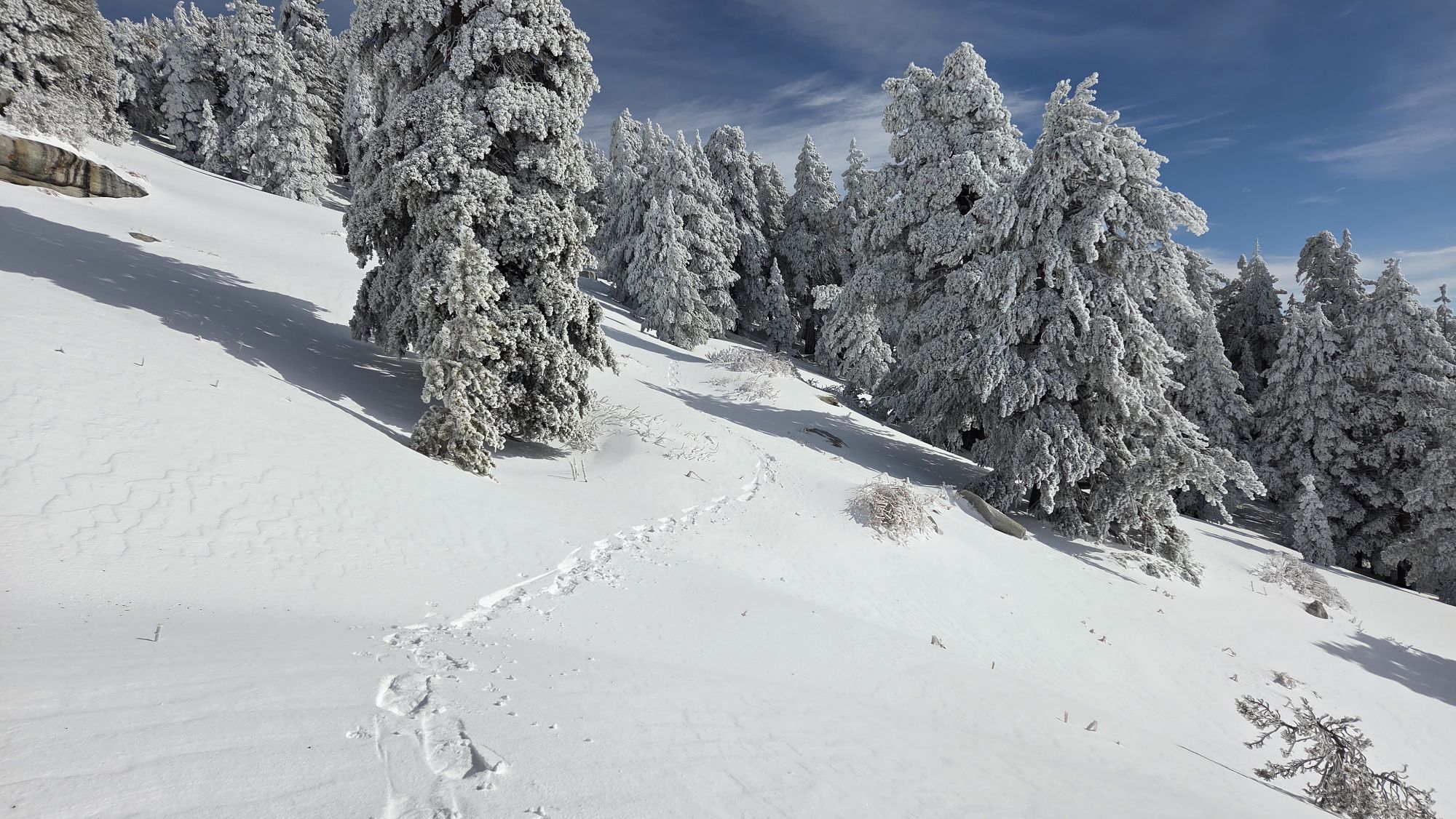 Trail and snow update 7th March 2026 – San Jacinto Trail Report
