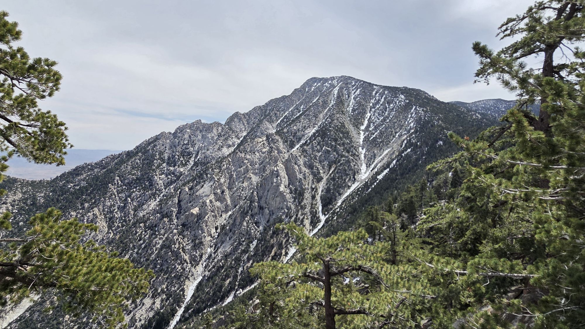 Trail update 3rd April 2026 – San Jacinto Trail Report