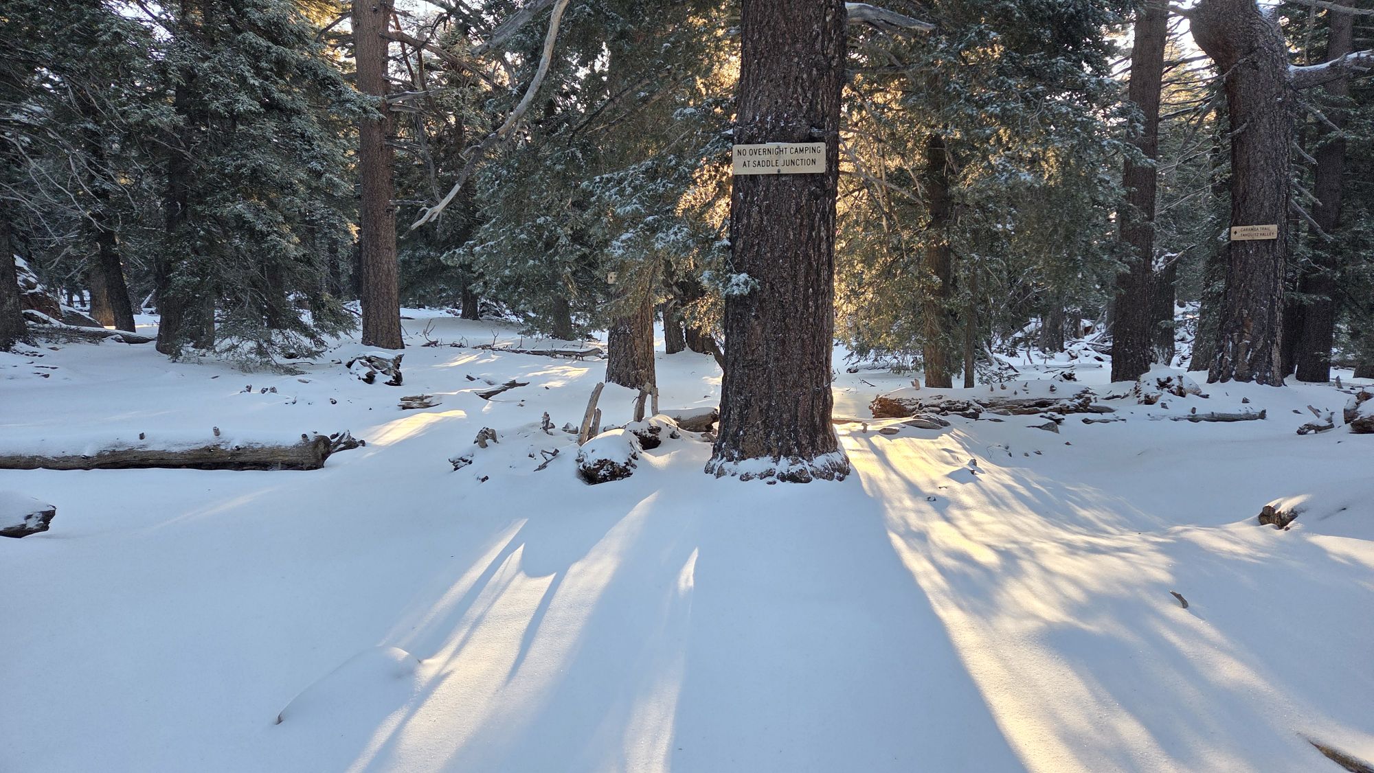 Minor snow storm update 19th April 2026 – San Jacinto Trail Report