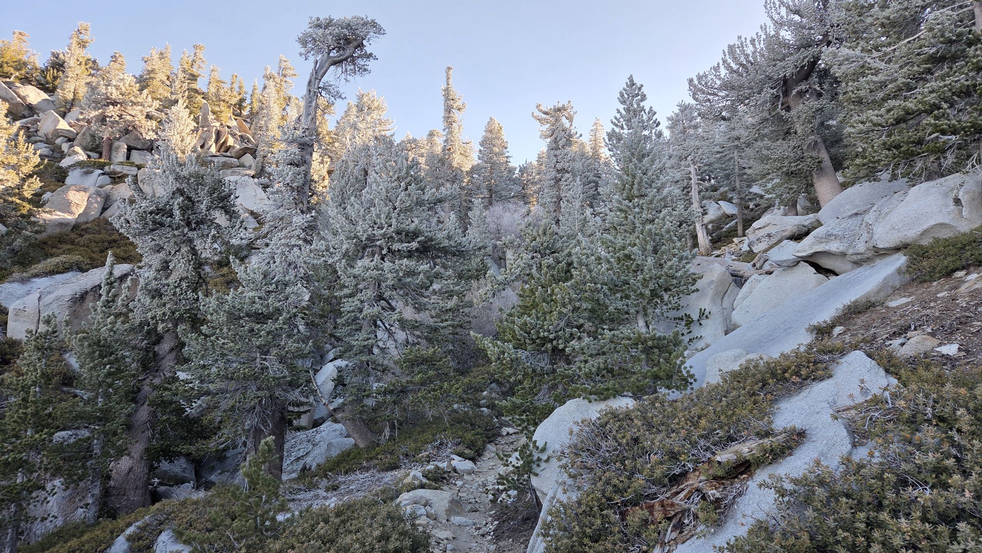 Trail update 5th June 2026 – San Jacinto Trail Report